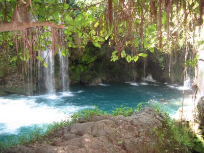 PAQUETE ECOTURISTICO DE FIN DE SEMANA EN TAMASOPO